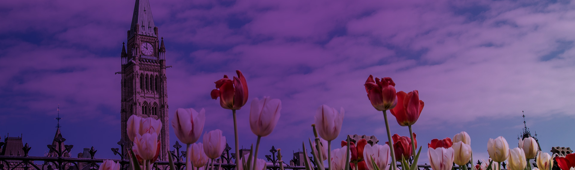 title image Budget Changes that Could Change Your Budget