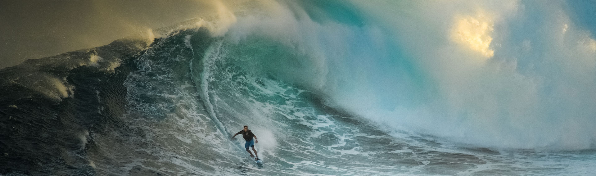 title image Une « vague bleue » va-t-elle terrasser ou stimuler les marchés?
