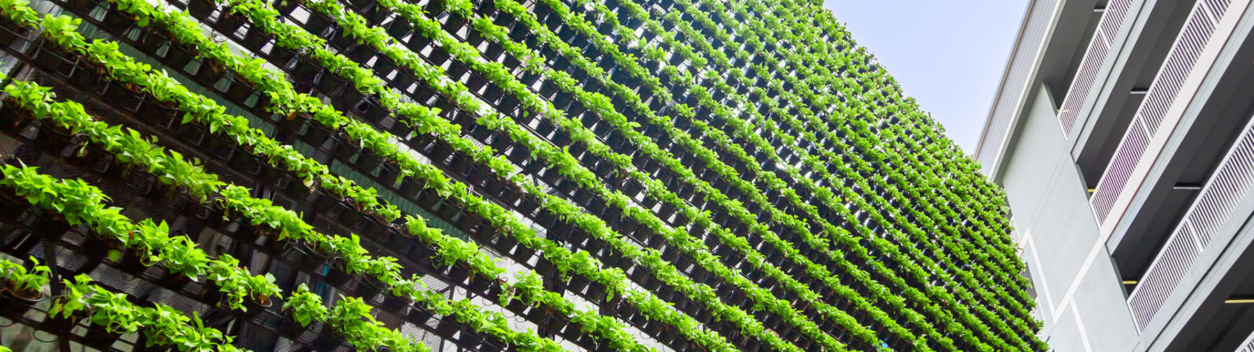 It’s spring and that means it’s proxy season