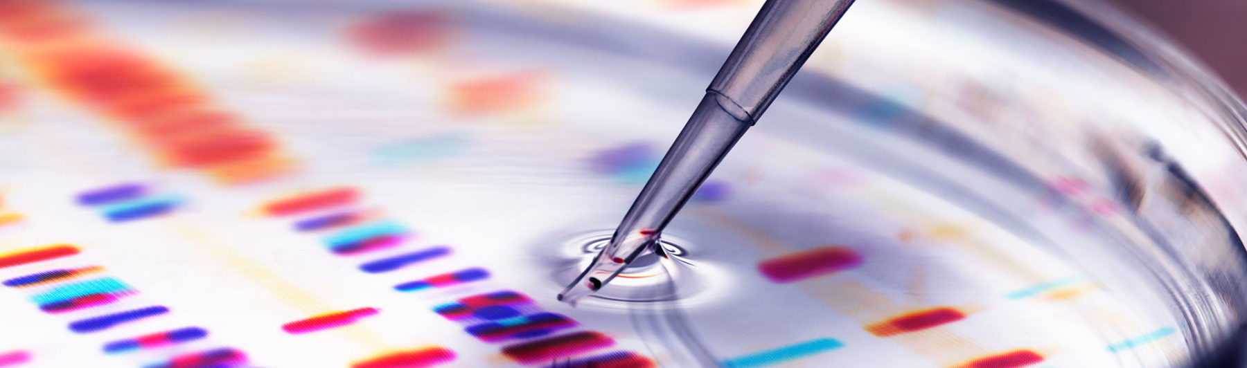 Le secteur des biotechnologies dans la course au vaccin