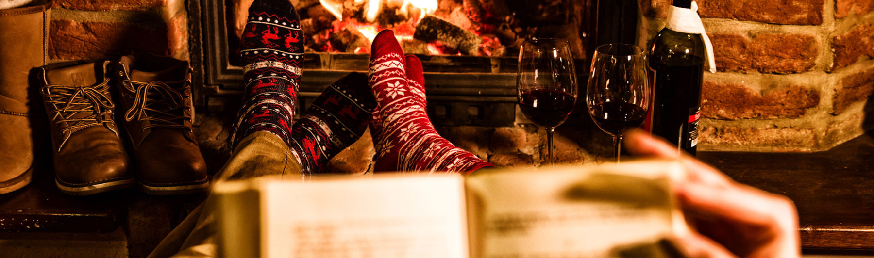 What We’re Reading & Watching This Holiday Season