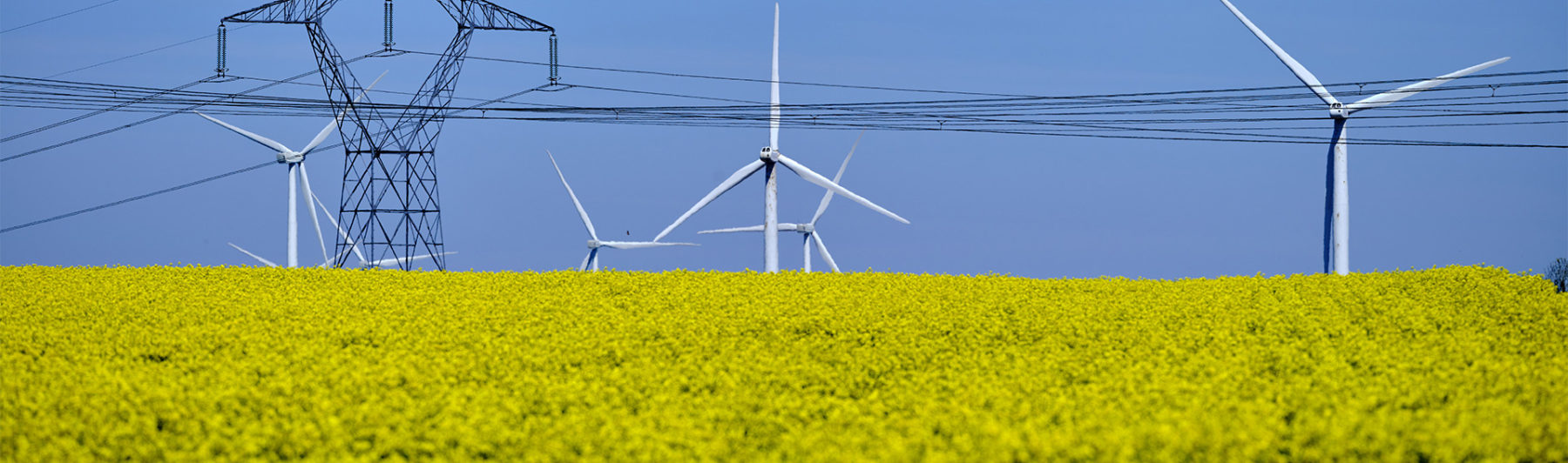 Trois tendances qui aideront à définir la transition vers une économie verte