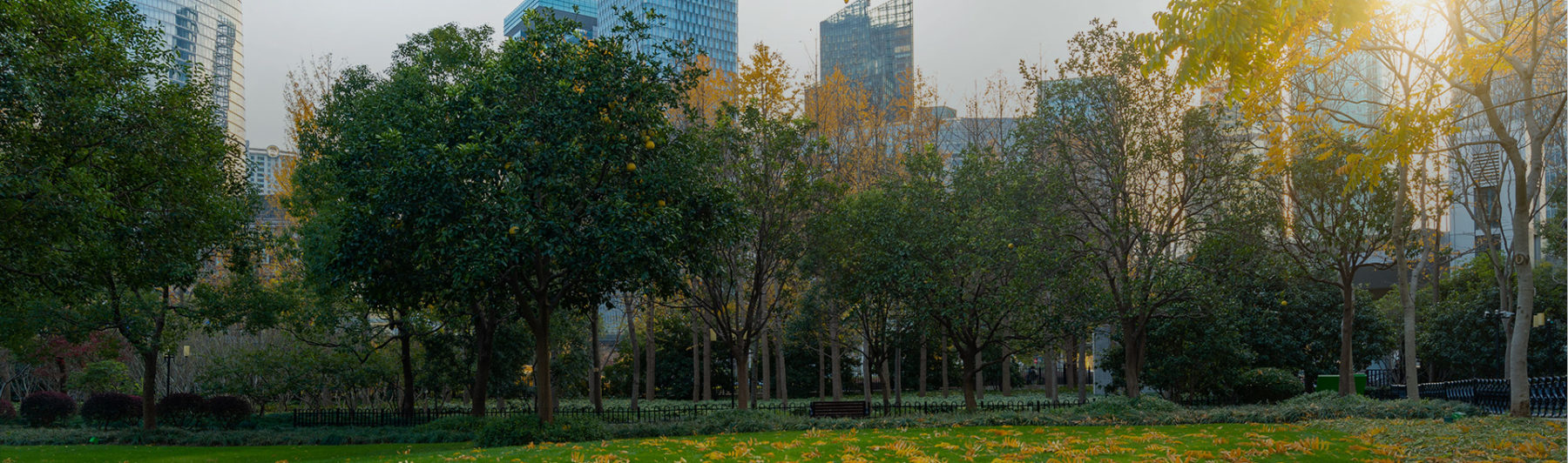 All About Fall: Why the Coming Season Is Critical for Investors