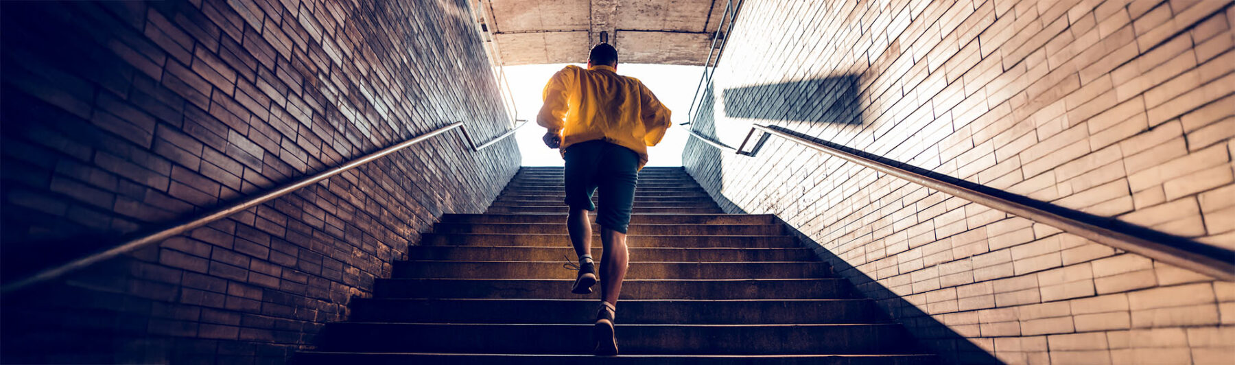 The Gold Vector: Price with Direction and Magnitude