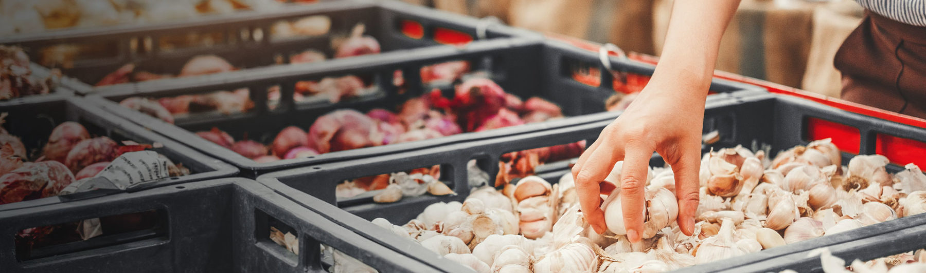 Today’s Market Specials: Quality and Value